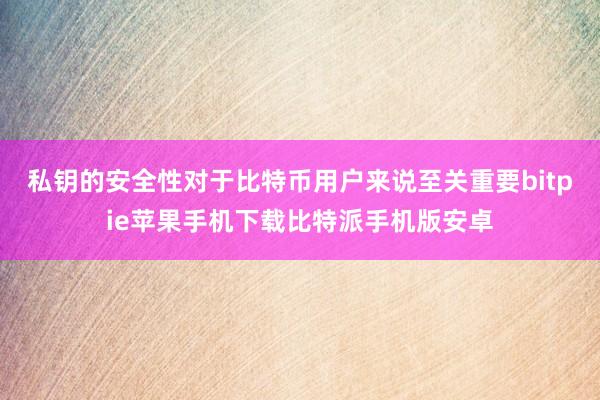 私钥的安全性对于比特币用户来说至关重要bitpie苹果手机下载比特派手机版安卓