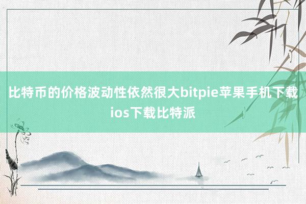 比特币的价格波动性依然很大bitpie苹果手机下载ios下载比特派