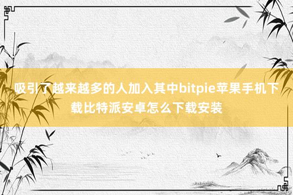 吸引了越来越多的人加入其中bitpie苹果手机下载比特派安卓怎么下载安装