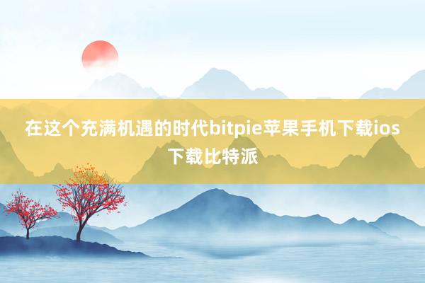 在这个充满机遇的时代bitpie苹果手机下载ios下载比特派