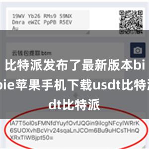 比特派发布了最新版本bitpie苹果手机下载usdt比特派