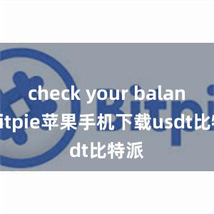 check your balancebitpie苹果手机下载usdt比特派