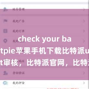 check your balancebitpie苹果手机下载比特派usdt审核，比特派官网，比特派钱包，比特派下载