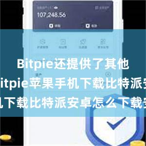 Bitpie还提供了其他一些功能bitpie苹果手机下载比特派安卓怎么下载安装