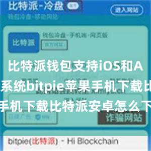 比特派钱包支持iOS和Android系统bitpie苹果手机下载比特派安卓怎么下载安装