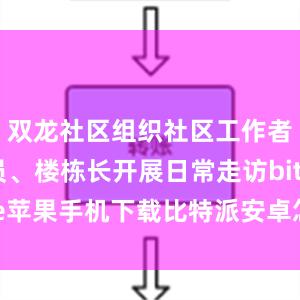 双龙社区组织社区工作者、网格员、楼栋长开展日常走访bitpie苹果手机下载比特派安卓怎么下载安装