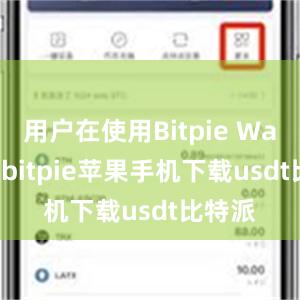 用户在使用Bitpie Wallet时bitpie苹果手机下载usdt比特派