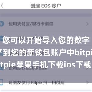 您可以开始导入您的数字货币资产到您的新钱包账户中bitpie苹果手机下载ios下载比特派