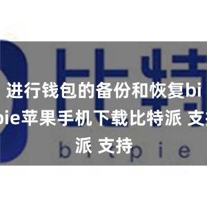 进行钱包的备份和恢复bitpie苹果手机下载比特派 支持