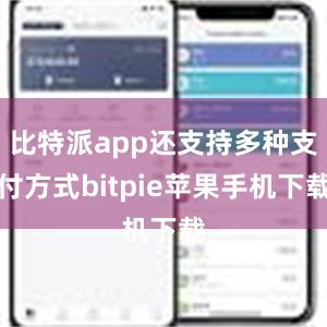 比特派app还支持多种支付方式bitpie苹果手机下载