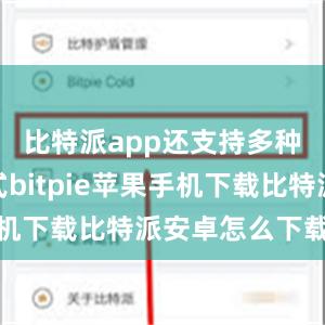 比特派app还支持多种支付方式bitpie苹果手机下载比特派安卓怎么下载安装