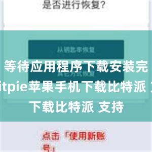 等待应用程序下载安装完成bitpie苹果手机下载比特派 支持