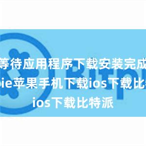 等待应用程序下载安装完成bitpie苹果手机下载ios下载比特派