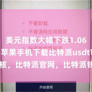 美元指数大幅下跌1.06%bitpie苹果手机下载比特派usdt审核，比特派官网，比特派钱包，比特派下载