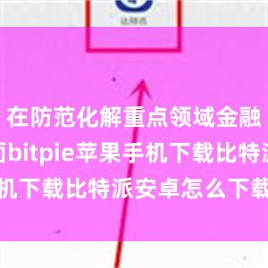 在防范化解重点领域金融风险方面bitpie苹果手机下载比特派安卓怎么下载安装