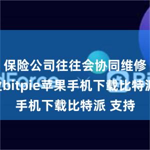 保险公司往往会协同维修的企业bitpie苹果手机下载比特派 支持