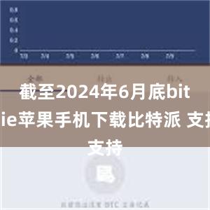 截至2024年6月底bitpie苹果手机下载比特派 支持