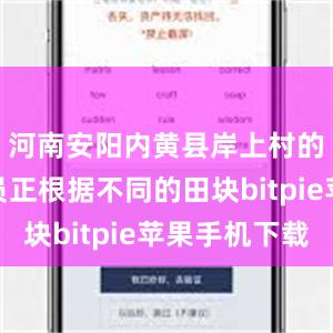 河南安阳内黄县岸上村的农技人员正根据不同的田块bitpie苹果手机下载