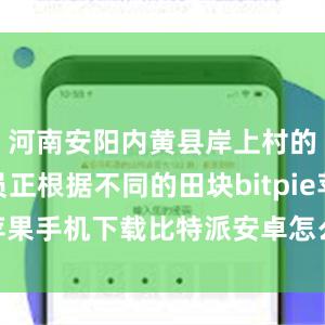 河南安阳内黄县岸上村的农技人员正根据不同的田块bitpie苹果手机下载比特派安卓怎么下载安装