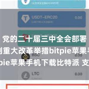 党的二十届三中全会部署了一系列重大改革举措bitpie苹果手机下载比特派 支持