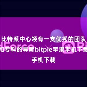 比特派中心领有一支优秀的团队和专科的导师bitpie苹果手机下载