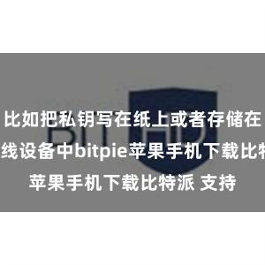 比如把私钥写在纸上或者存储在U盘等离线设备中bitpie苹果手机下载比特派 支持