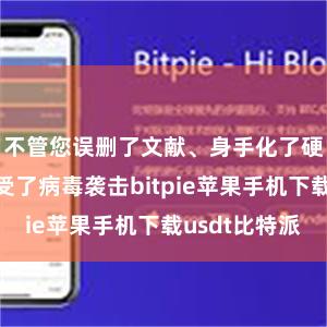 不管您误删了文献、身手化了硬盘仍是遭受了病毒袭击bitpie苹果手机下载usdt比特派