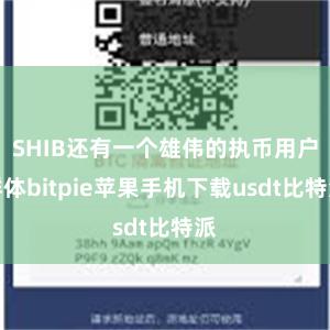 SHIB还有一个雄伟的执币用户群体bitpie苹果手机下载usdt比特派