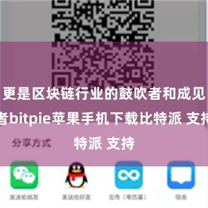 更是区块链行业的鼓吹者和成见者bitpie苹果手机下载比特派 支持